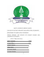 FAayye sem.docx